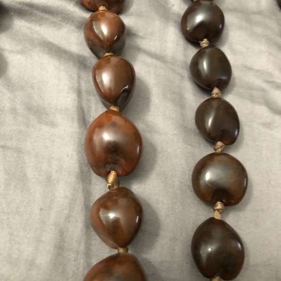 Hawaiian Cukui Nuts - Picture 7 of 7